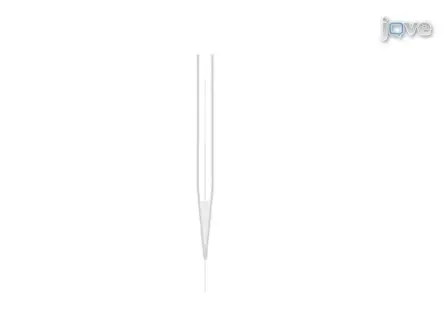 Fabrication of Amperometric Electrodes