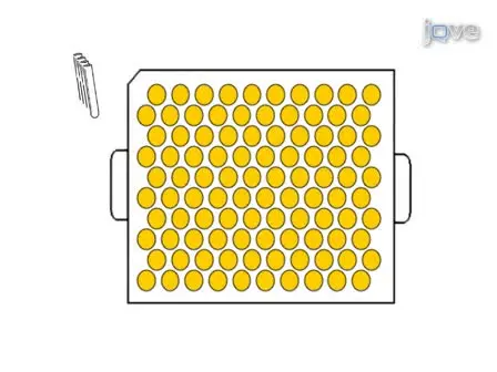 Quantifying Yeast Chronological Life Span by Outgrowth of Aged Cells