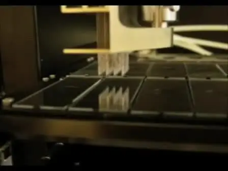 Processing the Loblolly Pine PtGen2 cDNA Microarray