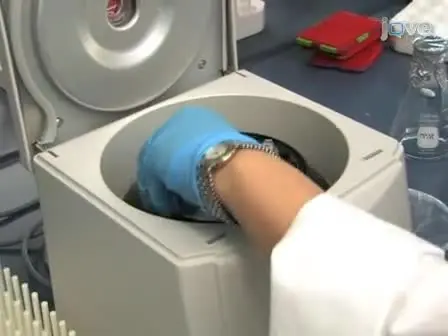 DNA Extraction from 0.22 &mu;M Sterivex Filters and Cesium Chloride Density Gradient Centrifugation