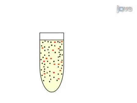 Purification of Mitochondria from Yeast Cells