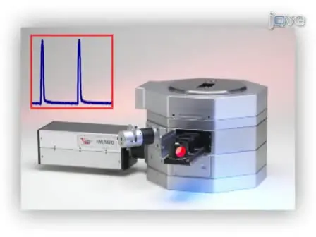 Isolation and Genetic Manipulation of Adult Cardiac Myocytes for Confocal Imaging