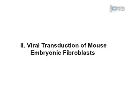 Generation of Induced Pluripotent Stem Cells by Reprogramming Mouse Embryonic Fibroblasts with a Four Transcription Factor, Doxycycline Inducible Lentiviral Transduction System