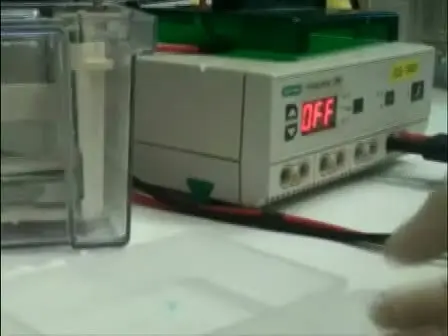Denaturing Urea Polyacrylamide Gel Electrophoresis (Urea PAGE)