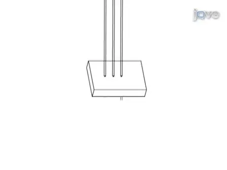 Scalable Fluidic Injector Arrays for Viral Targeting of Intact 3-D Brain Circuits