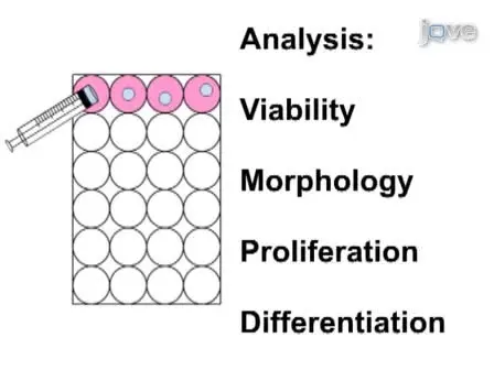 Cellular Encapsulation in 3D Hydrogels for Tissue Engineering 