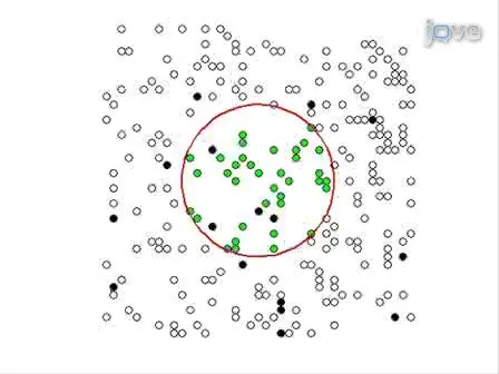 Measuring Diffusion Coefficients via Two-photon Fluorescence Recovery After Photobleaching
