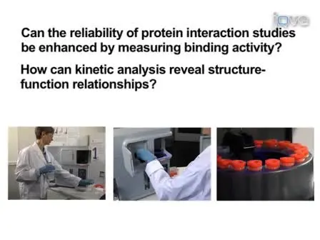 The Importance of Correct Protein Concentration for Kinetics and Affinity Determination in Structure-function Analysis 
