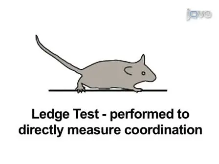 A Simple Composite Phenotype Scoring System for Evaluating Mouse Models of Cerebellar Ataxia