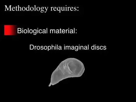 Laser Microdissection Applied to Gene Expression Profiling of Subset of Cells from the <em>Drosophila</em> Wing Disc