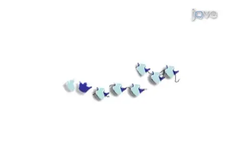 Eukaryotic Polyribosome Profile Analysis