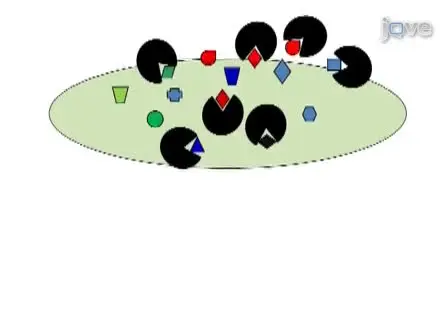 Selection of Aptamers for Amyloid &beta;-Protein, the Causative Agent of Alzheimer&#39;s Disease