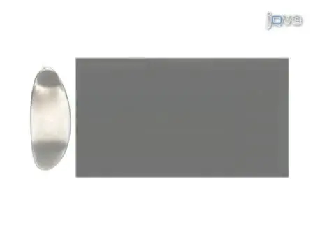 <em>In-vivo</em> Centrifugation of <em>Drosophila</em> Embryos