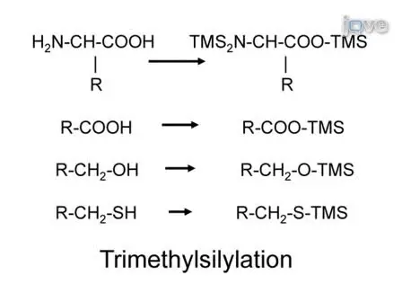 One-step Metabolomics: Carbohydrates, Organic and Amino Acids Quantified in a Single Procedure