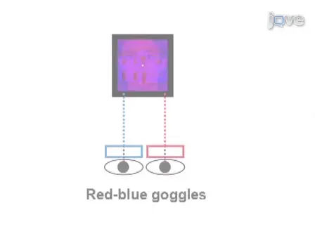 How to Create and Use Binocular Rivalry