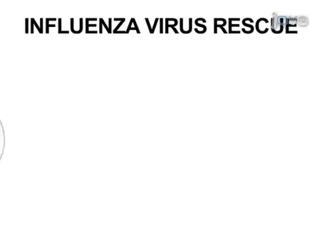 Generation of Recombinant Influenza Virus from Plasmid DNA