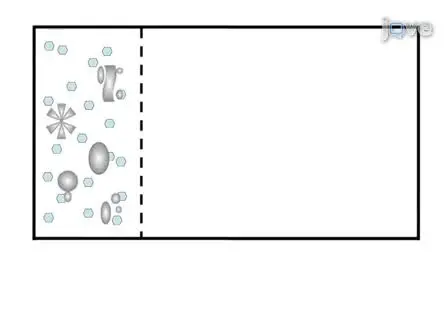 Blue Native Polyacrylamide Gel Electrophoresis (BN-PAGE) for Analysis of Multiprotein Complexes from Cellular Lysates