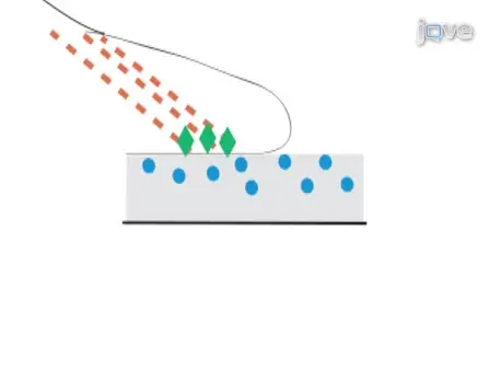 Preparation of Complaint Matrices for Quantifying Cellular Contraction