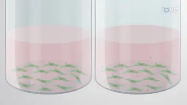 article