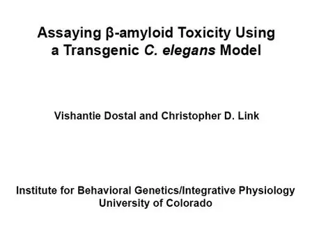 Assaying &beta;-amyloid Toxicity using a Transgenic <em>C. elegans</em> Model
