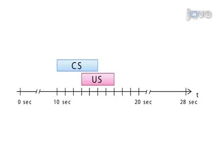 Behavioural Pharmacology in Classical Conditioning of the Proboscis Extension Response in Honeybees (<em>Apis mellifera</em>)
