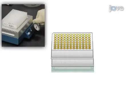 Streamlined Purification of Plasmid DNA From Prokaryotic Cultures