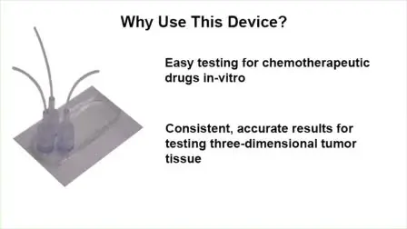 Microfluidic Device for Recreating a Tumor Microenvironment <em>in Vitro</em>
