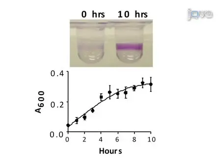 Microtiter Dish Biofilm Formation Assay