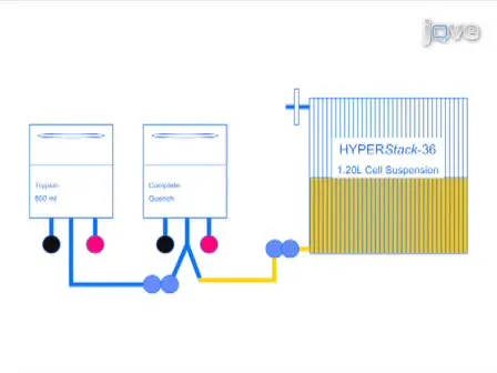 Closed System Cell Culture Protocol Using HYPERStack Vessels with Gas Permeable Material Technology