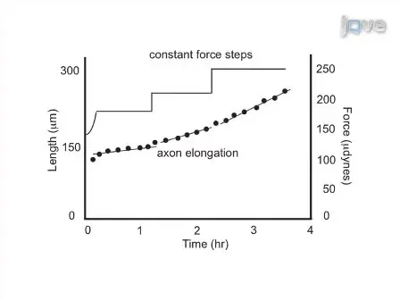 Mechanical Manipulation of Neurons to Control Axonal Development