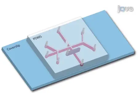 A Microfluidic-based Hydrodynamic Trap for Single Particles