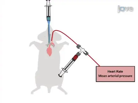 Pressure Controlled Ventilation to Induce Acute Lung Injury in Mice