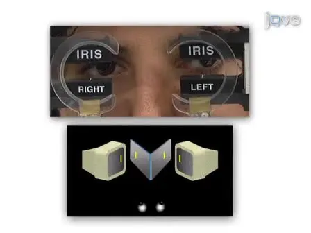 VisualEyes: A Modular Software System for Oculomotor Experimentation