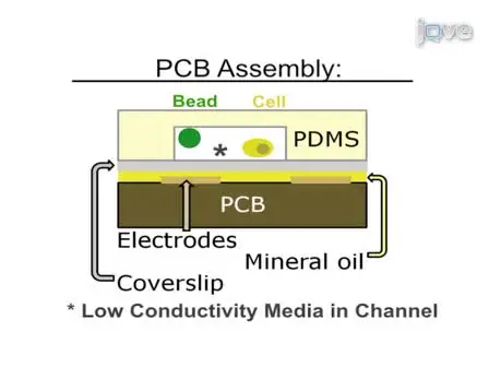 Separating Beads and Cells in Multi-channel Microfluidic Devices Using Dielectrophoresis and Laminar Flow