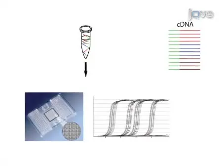 High Throughput MicroRNA Profiling: Optimized Multiplex qRT-PCR at Nanoliter Scale on the Fluidigm Dynamic ArrayTM IFCs