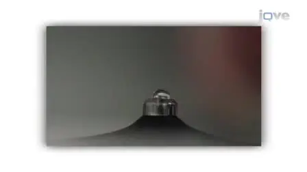 NanoDrop Microvolume Quantitation of Nucleic Acids