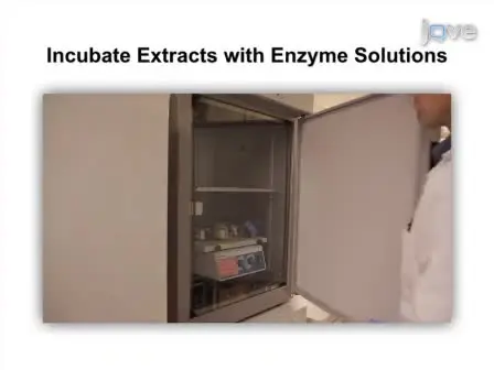 High-Throughput Measurement and Classification of Organic P in Environmental Samples