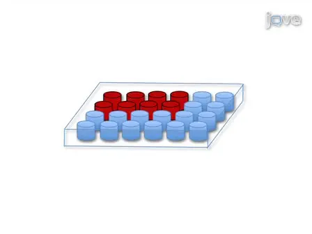 Accurate and Simple Measurement of the Pro-inflammatory Cytokine IL-1&beta; using a Whole Blood Stimulation Assay
