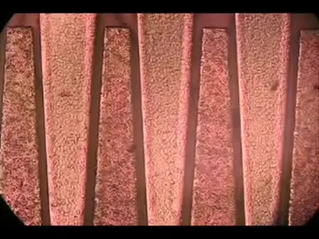 Silicon Microchips for Manipulating Cell-cell Interaction
