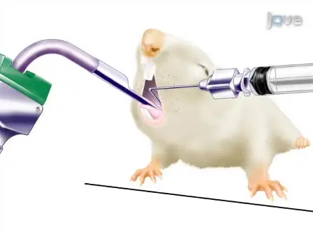 Non-surgical Intratracheal Instillation of Mice with Analysis of Lungs and Lung Draining Lymph Nodes by Flow Cytometry