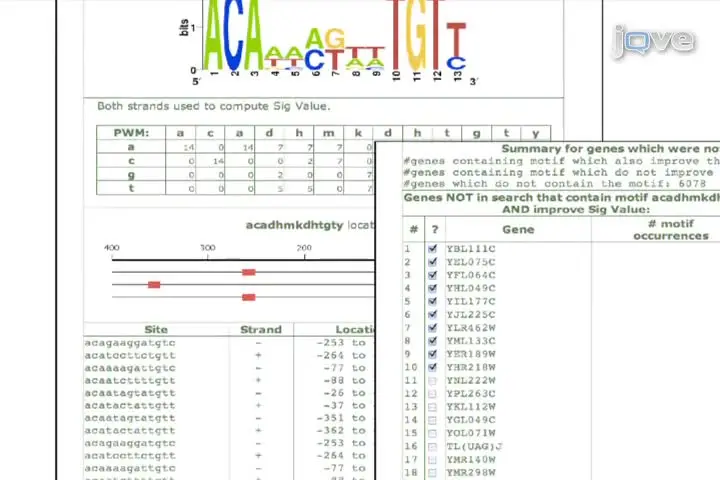 Using SCOPE to Identify Potential Regulatory Motifs in Coregulated Genes