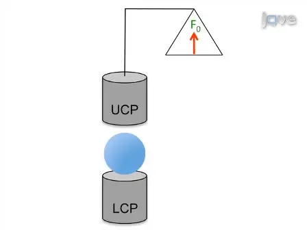 Measurement of Aggregate Cohesion by Tissue Surface Tensiometry