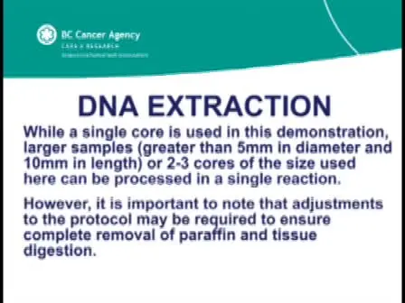 DNA Extraction from Paraffin Embedded Material for Genetic and Epigenetic Analyses