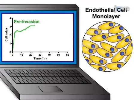 A Real-time Electrical Impedance Based Technique to Measure Invasion of Endothelial Cell Monolayer by Cancer Cells