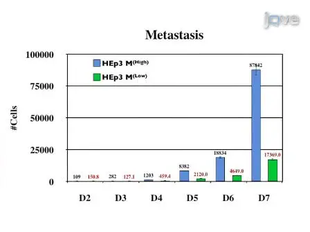 Quantitative Analysis of Cancer Metastasis using an Avian Embryo Model