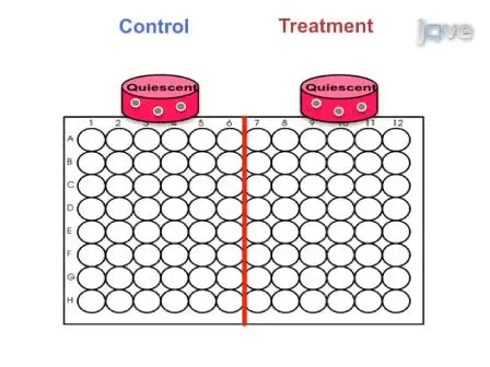 An <em>In Vitro</em> System to Study Tumor Dormancy and the Switch to Metastatic Growth