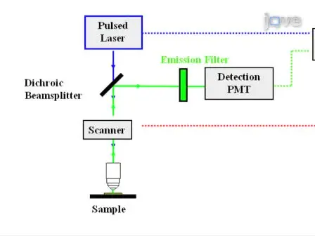 Fluorescence Lifetime Imaging of Molecular Rotors in Living Cells