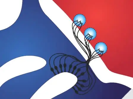 Lentivirus-mediated Genetic Manipulation and Visualization of Olfactory Sensory Neurons <em>in vivo</em>