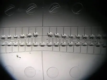 Microfluidic Chips Controlled with Elastomeric Microvalve Arrays