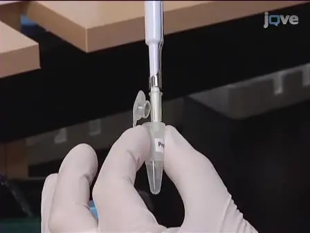 Protein Membrane Overlay Assay: A Protocol to Test Interaction Between Soluble and Insoluble Proteins <em>in vitro</em>